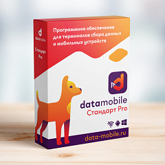 ПО DataMobile, версия Стандарт Pro в Барнауле