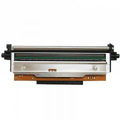 Печатающая головка 203 dpi для принтера АТОЛ TT621 в Барнауле